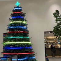 スガラボヴィー - １２月ですね