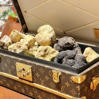 スガラボヴィー - 白トリュフの入ったヴィトンの鞄も新しいなっていた