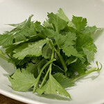 創作麺工房 鳴龍 - 