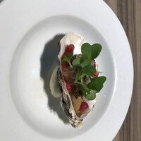 ダルマット 六本木ヒルズ店 - 