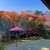 和食 花の茶屋 - お店のお庭