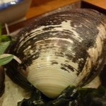 Kimura - 2012.12 北寄貝がこんな普通の２枚貝だとは知りませんでした。。