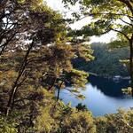 百楽荘 - 九十九湾を見下ろす絶景