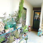 ROLL - Cafe ＆ Gaiiery ろうる入口 外観
      