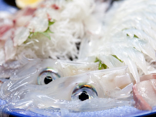 Senkei - 山陰でとれた新鮮なイカを漁師から直接仕入れ！　『イカ活造り』