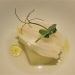 センティウ - アオリイカ　冬瓜　シャインマスカット