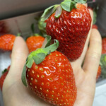 姫路ハートフル観光農園 - 