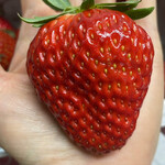 姫路ハートフル観光農園 - 