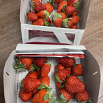 姫路ハートフル観光農園 - 