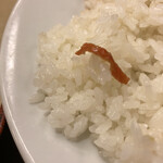 Matsuya - え、えーと。蟹！笑