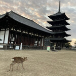 日本料理Obana - 