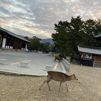 日本料理おばな - 
