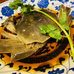 中華香彩JASMINE - 上海蟹。