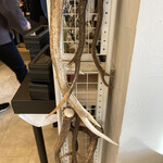 プレゼンテ スギ - こ、こ、これは！狩猟の…？