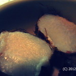 カクテルバー しろ - 里芋の若いの。