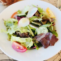 ビストロ・ミル・プランタン - サラダ