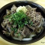 さぬきうどん　笠堂や - 肉うどん２玉