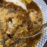 ヌードル＆スパイスカレー 今日の1番 - 