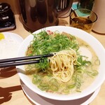 京都銀閣寺 ますたにラーメン - 