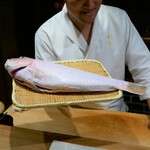 東麻布 天本 - 『白甘鯛』