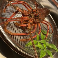 ビフテキのカワムラ 六本木店 - 
