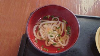 Kyassuru Matsuba Yoshihara - うどんがいいお味だった。ちゃんと基本は押えてあるねえ！