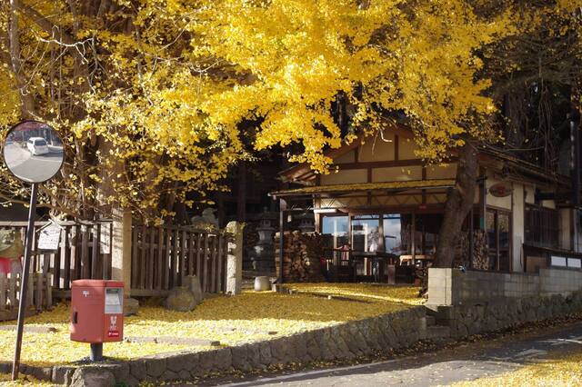 icho cafe &ndash; 宮内（カフェ） | 山形県南陽市の隠れ家カフェ