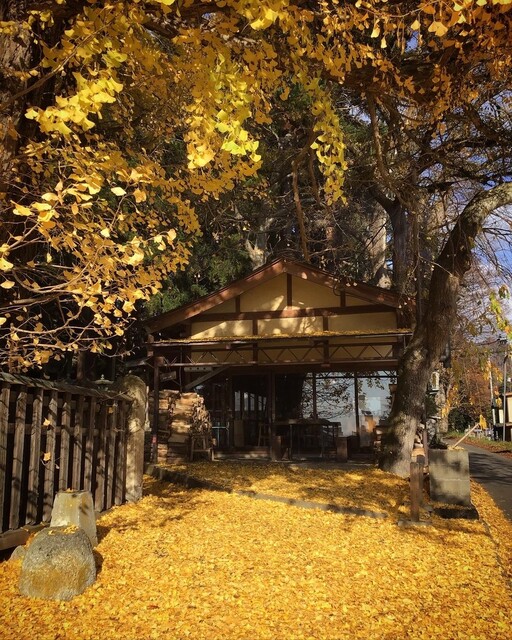 icho cafe - 宮内（カフェ）の写真