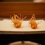 Ten Yokota - 海老の足
                        エアリーな食感から伝える海老の風味と存在感。