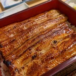 Unagi Yasukawa - 