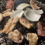 四条ホルモン - 