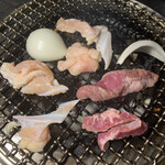 四条ホルモン - 