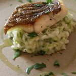 TRATTORIA Fragranza - 