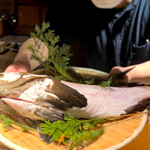 カミノザ - 旬は冬。透明感のあるクエ