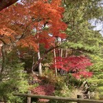 再度山荘 - 再度公園の紅葉