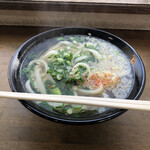 Fujimi Udon - 