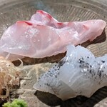 温石 - 素晴らしいハタ。美しさに食べる前から歓喜が想像出来ました。塩だけで脂分もタンパク質の美味しさも堪能いたしました。感動( ；∀；)　障泥烏賊も恐ろしく美味しかった。