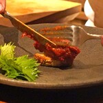 アカ - 馬肉のソプラサーダ