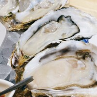 四ツ橋・新町 牡蠣と肉たらしビストロAKIRA - 