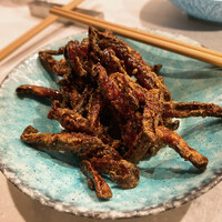 CINA New Modern Chinese - 
