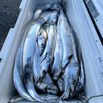 かもめ食堂 - 釣りの成果