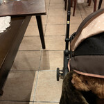 キッツビュール - 