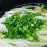 多田製麺所 - かけうどん小(1玉)200円