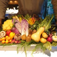 レフェルヴェソンス - 