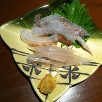 寅八商店 心斎橋店 - 泳ぎ活けイカのエンペラとゲソの造り