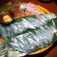 寅八商店 心斎橋店 - 泳ぎ活けイカそぎ造り（中）
