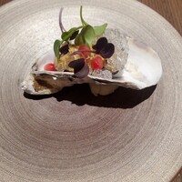 ダルマット 六本木ヒルズ店 - 