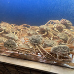 食彩厨房 甚兵衛 - せこがに