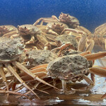 食彩厨房 甚兵衛 - せこがに