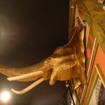タイレストラン 沌 - けっこうインパクトある壁の象さん